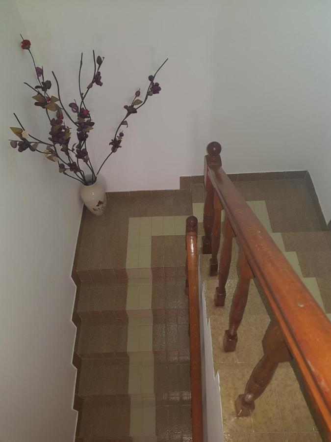 Sobe I Apartmani Marovic Petrovac Exterior photo