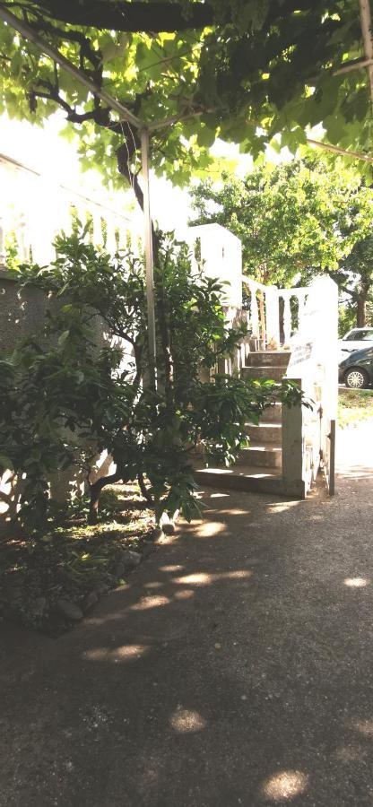Sobe I Apartmani Marovic Petrovac Exterior photo